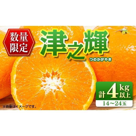 ふるさと納税 果物類 みかん 宮崎県 日南市 先行予約 津之輝 つのかがやき 4kg以上 (2kg×2箱) 希少 期間限定 数量限定 フルーツ 果物 くだもの 柑橘 みかん …