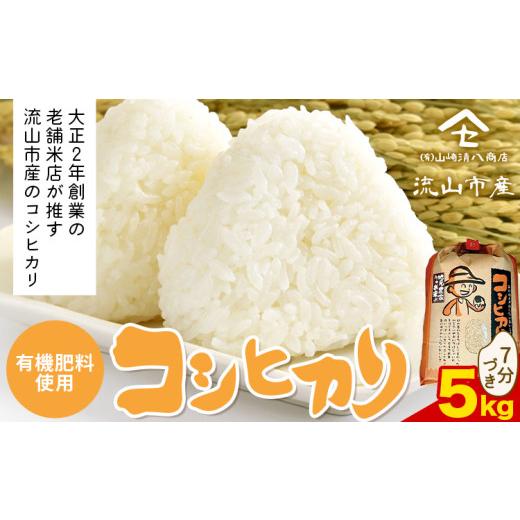 ふるさと納税 米 コシヒカリ 千葉県 流山市 コシヒカリ 米 5kg[30日以内に発送予定(土日祝除く)] 有機肥料 7分搗き st-p 7分づき