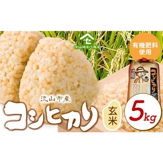 ふるさと納税 米 コシヒカリ 千葉県 流山市 コシヒカリ 米 5kg[30日以内に発送予定(土日祝除く)] 有機肥料 玄米 st-p 玄米