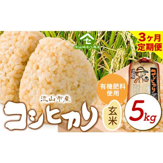 ふるさと納税 米 コシヒカリ 千葉県 流山市 毎月定期便3回 令和7年産 コシヒカリ 米 5kg《お申込み翌月から出荷》 有機肥料 玄米 玄米_1