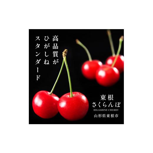 ふるさと納税 山形県 東根市 2024年さくらんぼ「紅秀峰」800g(200g×4ハ゜ック) 東根農産センター提供　hi027-120 