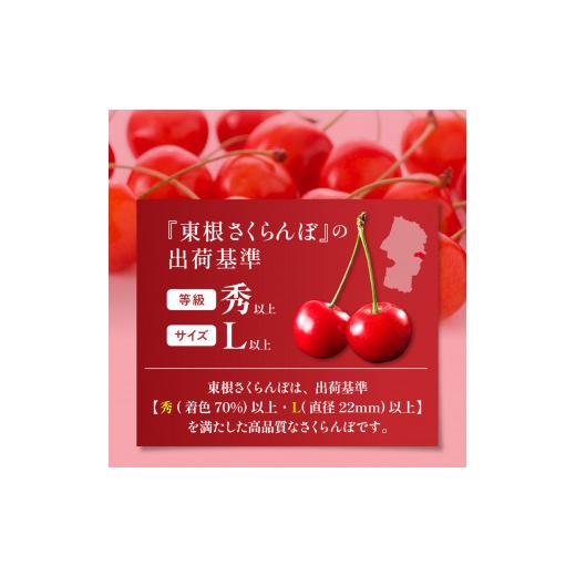 ふるさと納税 山形県 東根市 2024年さくらんぼ「紅秀峰」800g(200g×4ハ゜ック) 東根農産センター提供　hi027-120 