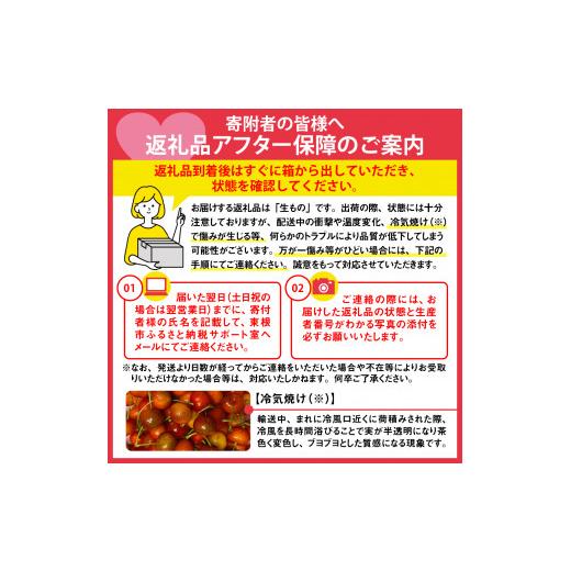 ふるさと納税 山形県 東根市 2024年さくらんぼ「紅秀峰」800g(200g×4ハ゜ック) 東根農産センター提供　hi027-120 