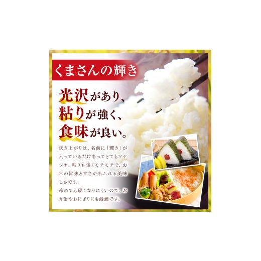 【ほぼ未使用】 ふるさと納税 熊本県 和水町 【定期便12回】 熊本県産 くまさんの輝き 白米 20kg 【2997561908】(105600円)