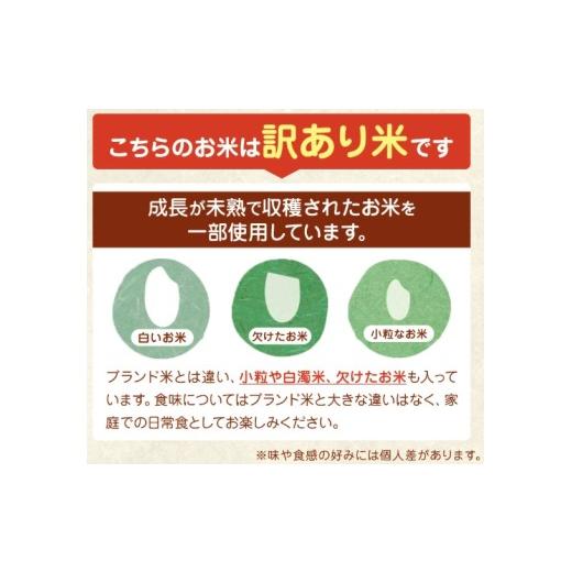 ふるさと納税 無洗米 熊本県 和水町 最短 翌営業日 〜 7営業日で発送