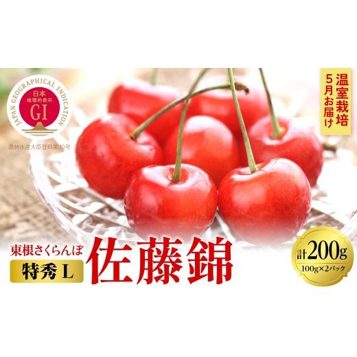 ふるさと納税 果物類 さくらんぼ 山形県 東根市 2026年産 5月お届け GI東根さくらんぼ 佐藤錦 特秀品 Lサイズ 約200g(100g×2パック) 山形県 東根市 東根農産…
