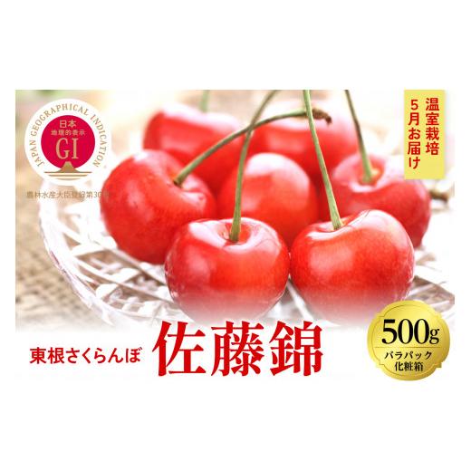 ふるさと納税 果物類 さくらんぼ 山形県 東根市 2026年産 5月お届け GI東根さくらんぼ 佐藤錦 特秀品 Lサイズ500g(バラパック入れ) 山形県 東根市 hi027-160…