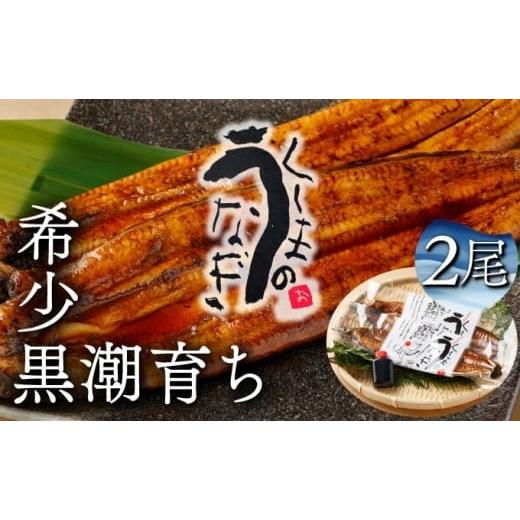 ふるさと納税 うなぎ 宮崎県 串間市 KU469-2 くしまの黒潮うなぎ蒲焼2尾(合計400g前後) 大田商店 2尾(合計400g前後)