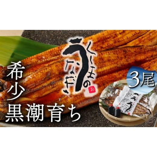 ふるさと納税 うなぎ 宮崎県 串間市 KU469-3 くしまの黒潮うなぎ蒲焼3尾(合計600g前後) 大田商店 くしまの黒潮うなぎ蒲焼3尾(合計600g前後)