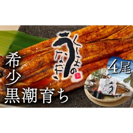 ふるさと納税 うなぎ 宮崎県 串間市 KU469-4 くしまの黒潮うなぎ蒲焼4尾(合計800g前後) 大田商店 くしまの黒潮うなぎ蒲焼4尾