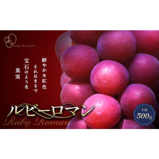 ふるさと納税 果物類 ぶどう 石川県 加賀市  先行予約 ルビーロマン 1房 500g（2026年8月中旬〜9月上旬頃順次発送） ぶどう ブドウ 大粒 先行予約 予約 冷蔵配…の画像