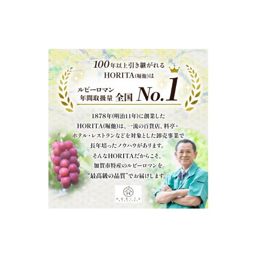 ふるさと納税 果物類 ぶどう 石川県 加賀市  先行予約 ルビーロマン 1房 500g（2026年8月中旬〜9月上旬頃順次発送） ぶどう ブドウ 大粒 先行予約 予約 冷蔵配…の画像