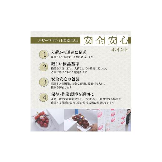 ふるさと納税 果物類 ぶどう 石川県 加賀市  先行予約 ルビーロマン 1房 500g（2026年8月中旬〜9月上旬頃順次発送） ぶどう ブドウ 大粒 先行予約 予約 冷蔵配…の画像