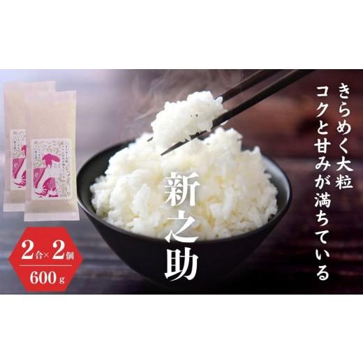 ふるさと納税 新潟県 糸魚川市 お試し『新之助』2合(300g)×2袋 米・食味鑑定士お墨付き 新潟県糸魚川産 600g 令和5年産[お米 こめ おすすめ しんのすけ]