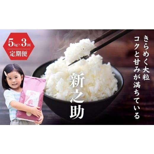 ふるさと納税 米 コシヒカリ 新潟県 糸魚川市 令和7年産新米 定期便 新之助 5kg×3ヶ月 計15kg 米・食味鑑定士お墨付き 家族みんなで愛情かけて育てた米 新潟…