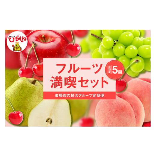ふるさと納税 果物類 さくらんぼ 山形県 東根市 2026年 全5回定期便 東根フルーツ満喫セット (6月からスタート)さくらんぼ、もも、シャインマスカット、ラ…