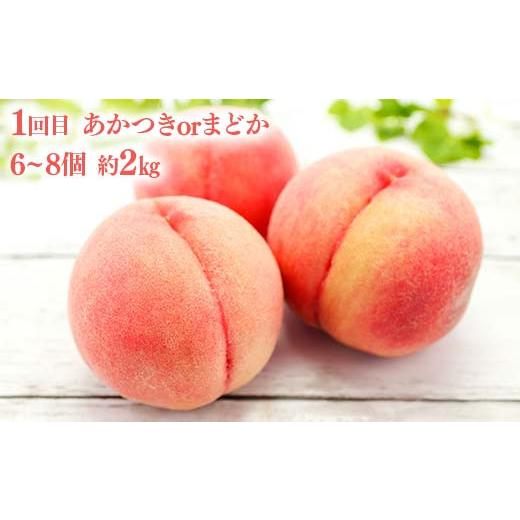 ふるさと納税 福島県 伊達市 【先行予約】桃とシャインマスカットの定期便（小） 果物 フルーツ 桃 モモ もも 葡萄 ブドウ ぶどう 福島県 伊達市 F20C-785 福島県 伊達市 もも