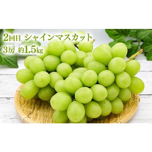 ふるさと納税 福島県 伊達市 【先行予約】桃とシャインマスカットの定期便（小） 果物 フルーツ 桃 モモ もも 葡萄 ブドウ ぶどう 福島県 伊達市 F20C-785 福島県 伊達市 もも