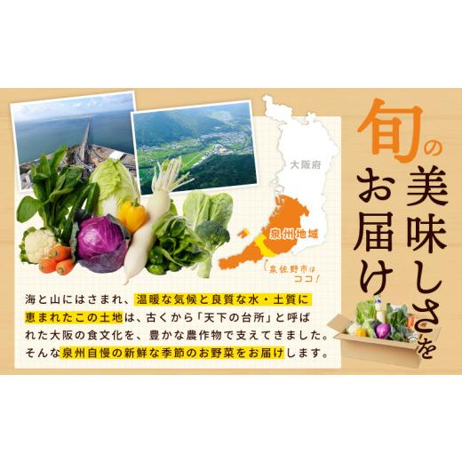 ふるさと納税 セット・詰合せ 大阪府 泉佐野市  スピード発送 季節の泉州野菜 10種 おまかせセット ピクルスの素 2袋付き いずみピクルス NSWの画像