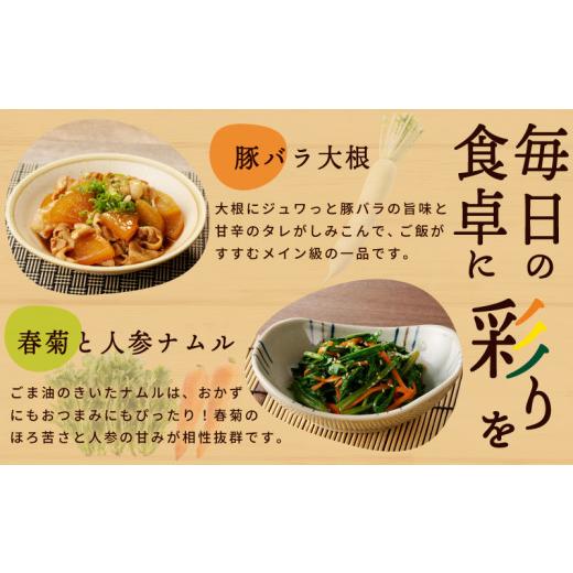 ふるさと納税 セット・詰合せ 大阪府 泉佐野市  スピード発送 季節の泉州野菜 10種 おまかせセット ピクルスの素 2袋付き いずみピクルス NSWの画像
