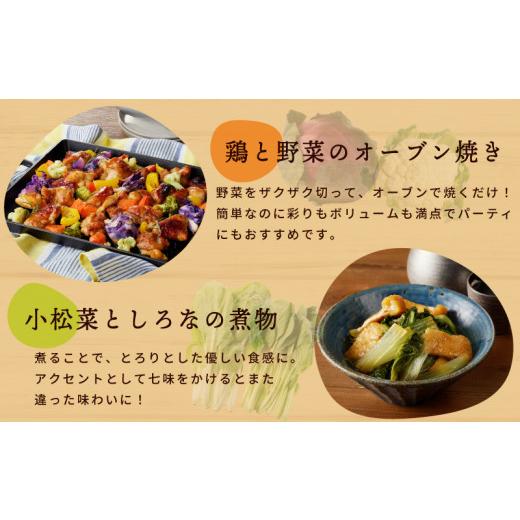 ふるさと納税 セット・詰合せ 大阪府 泉佐野市  スピード発送 季節の泉州野菜 10種 おまかせセット ピクルスの素 2袋付き いずみピクルス NSWの画像