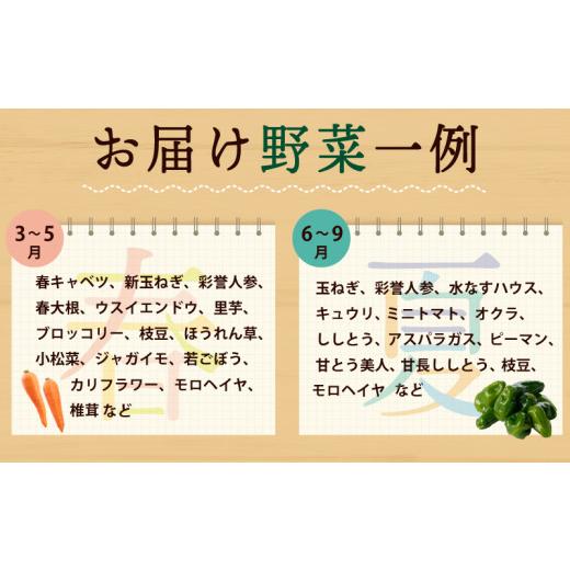 ふるさと納税 セット・詰合せ 大阪府 泉佐野市  スピード発送 季節の泉州野菜 10種 おまかせセット ピクルスの素 2袋付き いずみピクルス NSWの画像