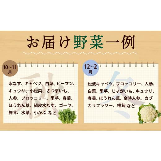 ふるさと納税 セット・詰合せ 大阪府 泉佐野市  スピード発送 季節の泉州野菜 10種 おまかせセット ピクルスの素 2袋付き いずみピクルス NSWの画像