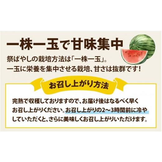 ふるさと納税 果物類 スイカ 福井県 あわら市 先行予約 藤重農園 ふるさと納税 果物類 スイカ 福井県 あわら市 先行予約 藤重農園