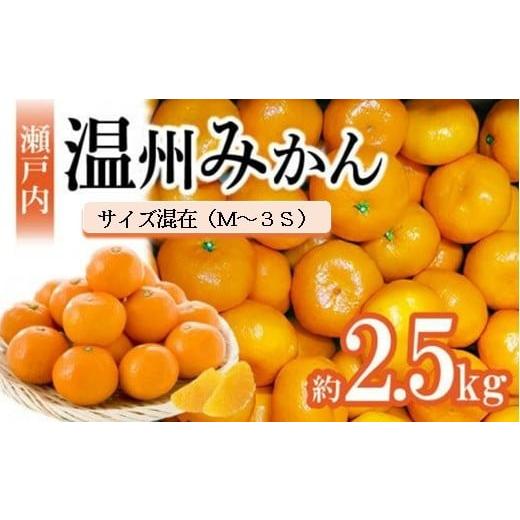 ふるさと納税 果物類 みかん 香川県 高松市 先行予約 瀬戸内温州みかん M〜3Sサイズ 約2.5kg 2026年10月上旬〜2027年1月下旬配送予定