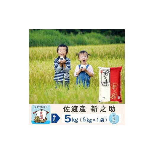 ふるさと納税 米 新潟県 佐渡市 3か月定期便 佐渡島産 新之助 無洗米5kg 令和7年産_1