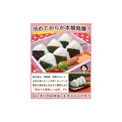 ふるさと納税 米 新潟県 佐渡市 3か月定期便 佐渡島産 新之助 無洗米5kg 令和7年産_3