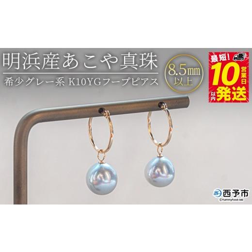 ふるさと納税 アクセサリー ピアス 愛媛県 西予市  明浜産あこや真珠8.5mm　希少グレー系 K10YGフープピアス 　パール　ジュエリー　アクセサリー　フォーマル…の画像