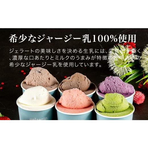 ふるさと納税 菓子 アイス 北海道 美瑛町 びえい牧場の牛乳を使用 gelatrip's selection ジェラート 24個BOX 034-05の画像