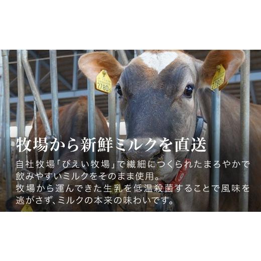 ふるさと納税 菓子 アイス 北海道 美瑛町 びえい牧場の牛乳を使用 gelatrip's selection ジェラート 24個BOX 034-05の画像