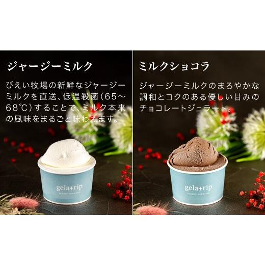 ふるさと納税 菓子 アイス 北海道 美瑛町 びえい牧場の牛乳を使用 gelatrip's selection ジェラート 24個BOX 034-05の画像