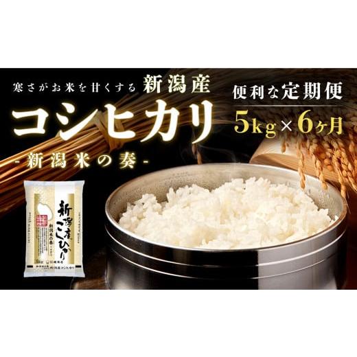 ふるさと納税 新潟県 新潟市 【定期便】新潟産コシヒカリ5kg×6回 米 定期便 6ヶ月 コシヒカリ 5kg 精米 白米 こめ コメ お米 おこめ こしひかり 新潟 新潟県 …｜furusatochoice｜02