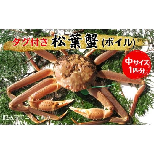 ふるさと納税 カニ 松葉ガニ 京都府 宮津市 蟹 タグ付き 松葉蟹 (ボイル) 中1匹分 かに カニ 松葉ガニ  