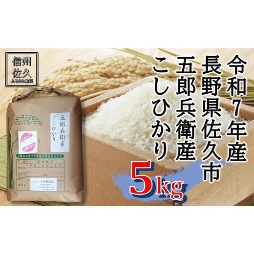 ふるさと納税 米 コシヒカリ 長野県 佐久市 令和7年産・白米5kg 五郎兵衛産こしひかり(北海道・沖縄・離島は配送不可)信州 長野県 佐久市 浅科 精米 …