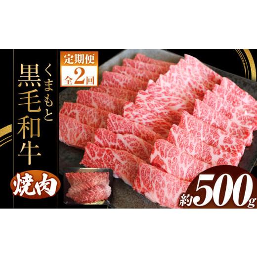 ふるさと納税 熊本県 和水町 [定期便2回]くまもと黒毛焼肉500g