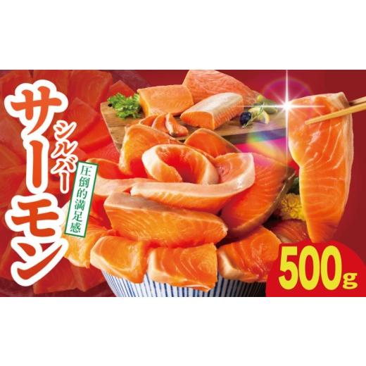 ふるさと納税 魚貝類 サーモン 大阪府 泉佐野市 お試し サーモン 500g ポーション 訳あり サイズ不揃い 刺身 海鮮丼 さーもん サラダ カルパッチョ 鮭 さけ …