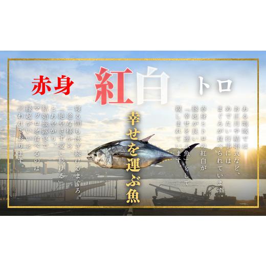 ふるさと納税 神奈川県 三浦市 A20-022 【年末・お正月／12月30日お届け】天然目鉢まぐろ お祝い満ぷくセット　中トロ赤身1ｋｇブロック　迎春三崎まぐろ　三… 神奈川県 三浦市 お祝い満ぷくセット　中トロ赤身1ｋｇブロック　迎春三崎まぐろ　三… A20-022 【年末・お正月／12月30日お届け】天然目鉢まぐろ ふるさと納税 E1308946345(13000円)