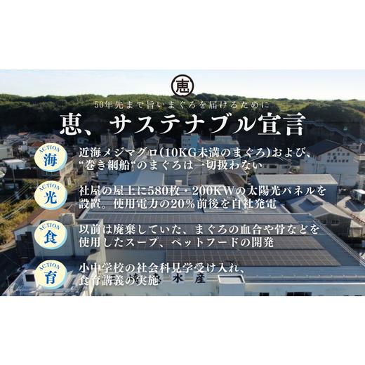 ふるさと納税 神奈川県 三浦市 A20-022 【年末・お正月／12月30日お届け】天然目鉢まぐろ お祝い満ぷくセット　中トロ赤身1ｋｇブロック　迎春三崎まぐろ　三… 神奈川県 三浦市 お祝い満ぷくセット　中トロ赤身1ｋｇブロック　迎春三崎まぐろ　三… A20-022 【年末・お正月／12月30日お届け】天然目鉢まぐろ ふるさと納税 E1308946345(13000円)