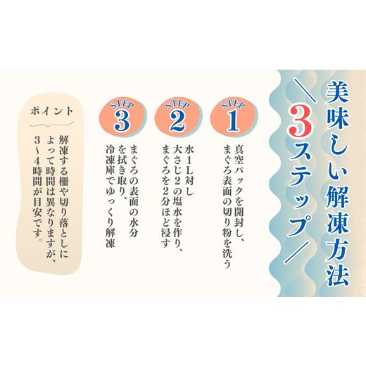 ふるさと納税 神奈川県 三浦市 A20-022 【年末・お正月／12月30日お届け】天然目鉢まぐろ お祝い満ぷくセット　中トロ赤身1ｋｇブロック　迎春三崎まぐろ　三… 神奈川県 三浦市 お祝い満ぷくセット　中トロ赤身1ｋｇブロック　迎春三崎まぐろ　三… A20-022 【年末・お正月／12月30日お届け】天然目鉢まぐろ ふるさと納税 E1308946345(13000円)