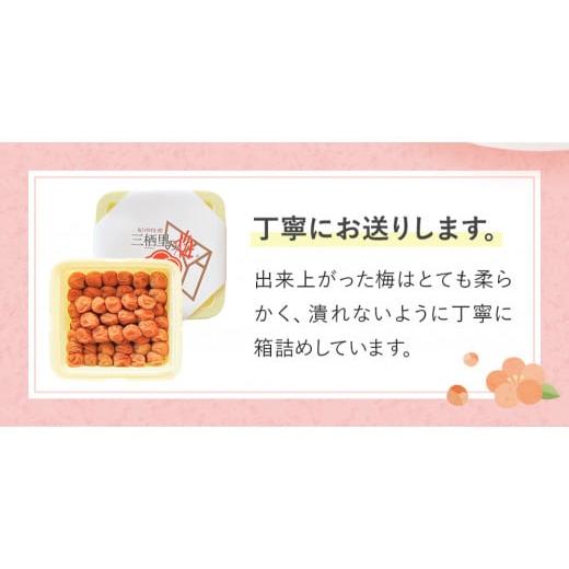 ふるさと納税 加工品等 梅干 和歌山県 田辺市 紀州南高梅 はちみつ梅干し （塩分8％）4kg(2kg×2個）A級品 ／ 和歌山 梅干し 田辺市 紀州南高梅 南高梅 梅干 …_5