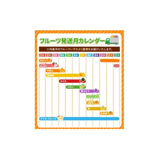 ふるさと納税 果物の詰合せ 熊本県 玉名市  定期便 12回 フルーツ定期便 高評価 果物 フルーツ 選べる発送回数 （いちご みかん 不知火 スイカ ぶどう メロン …_2