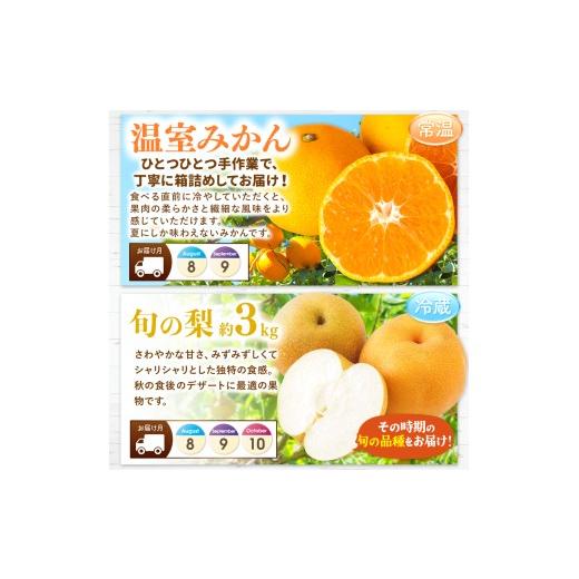 ふるさと納税 果物の詰合せ 熊本県 玉名市  定期便 12回 フルーツ定期便 高評価 果物 フルーツ 選べる発送回数 （いちご みかん 不知火 スイカ ぶどう メロン …_8