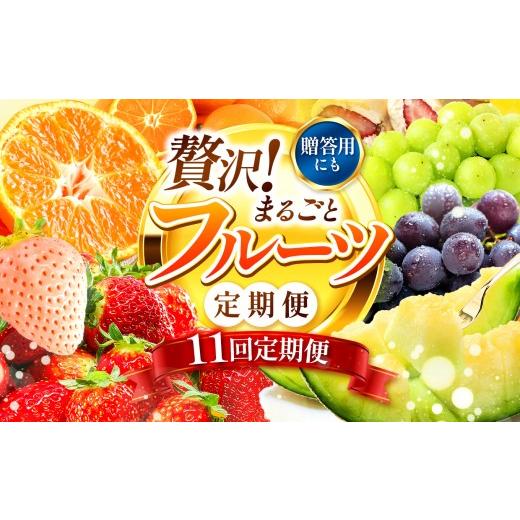 ふるさと納税 果物の詰合せ 熊本県 玉名市  定期便 11回 フルーツ定期便 高評価 果物 フルーツ 選べる発送回数 （いちご みかん 不知火 スイカ ぶどう メロン …_1
