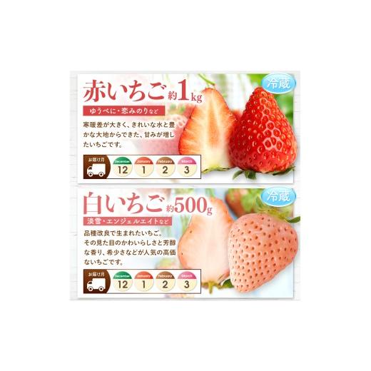 ふるさと納税 果物の詰合せ 熊本県 玉名市  定期便 10回 フルーツ定期便 高評価 果物 フルーツ 選べる発送回数 （いちご みかん 不知火 スイカ ぶどう メロン …_4