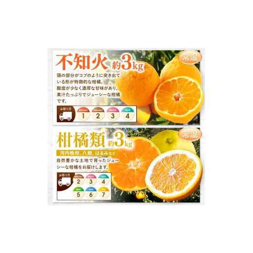 ふるさと納税 果物の詰合せ 熊本県 玉名市  定期便 10回 フルーツ定期便 高評価 果物 フルーツ 選べる発送回数 （いちご みかん 不知火 スイカ ぶどう メロン …_5