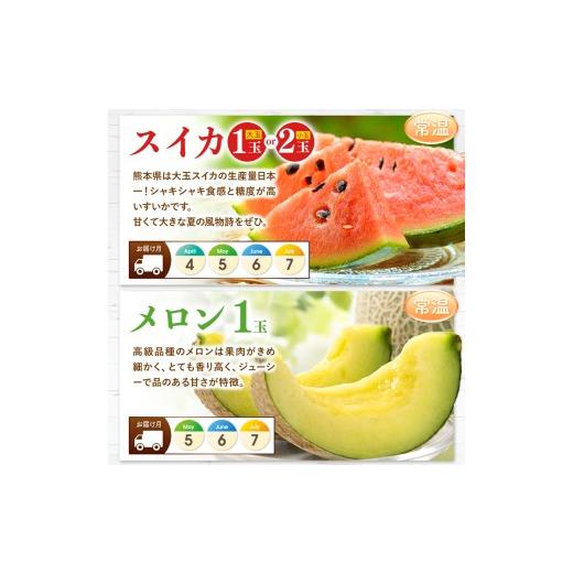 ふるさと納税 果物の詰合せ 熊本県 玉名市  定期便 9回 フルーツ定期便 高評価 果物 フルーツ 選べる発送回数 （いちご みかん 不知火 スイカ ぶどう メロン …_6